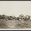 View of house, with cows in pasture in foreground. North side Old Country Road, about 200ft west of road leading to Westhampton railroad station. Westhampton, Southampton