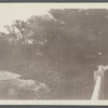 View of mill pond at Beaverdam. Westhampton, Southampton