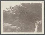 View of mill pond at Beaverdam. Westhampton, Southampton