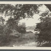 View of mill pond at Beaverdam. Westhampton, Southampton