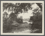 View of mill pond at Beaverdam. Westhampton, Southampton
