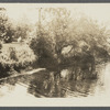 View of mill pond at Beaverdam. Westhampton, Southampton