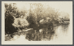 View of mill pond at Beaverdam. Westhampton, Southampton