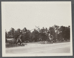 View of entrance at Pine Wold Park. South side Montauk Highway, just west of Beaverdam gristmill. Entrance gate is statue of 2 jousters. Westhampton, Southampton