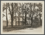 House. North side (Remsenburg) Road, just west of turn in road to north. Remsenburg, Southampton