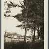 View of trees and fence at roadside. Southampton, Southampton