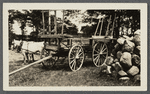 View of wagon and team of horses next to rock pile. Southampton, Southampton