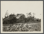 Old Jerome house. North side Orient (Main) Road, just east of Greenport village line. Greenport, Southold
