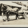 View of horse and wagon in front of store. Greenport, Southold