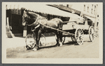 View of horse and wagon in front of store. Greenport, Southold