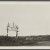 View of gate to "Sunset Bluff." North side of North Road to Southold, 2 1/4 miles west of Greenport. Greenport, Southold