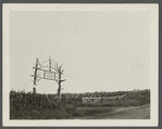 View of gate to "Sunset Bluff." North side of North Road to Southold, 2 1/4 miles west of Greenport. Greenport, Southold
