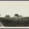 Old Bunce farmhouse? East side of Pipes Neck, south of South Road, on Pipes Cove. Pipes Neck, Southold
