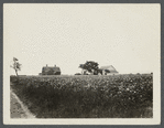 Old Bunce farmhouse? East side of Pipes Neck, south of South Road, on Pipes Cove. Pipes Neck, Southold