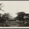 View of an old house. Eastside of Bowery Lane, north of Main Street, west of Southold Village. Southold, Southold