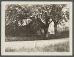 View of an old house. Eastside of Bowery Lane, north of Main Street, west of Southold Village. Southold, Southold