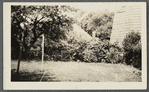 Photo of Mulford barn, windmill and Payne cottage. East side Main Street, south of Dunemere Lane. East Hampton, East Hampton