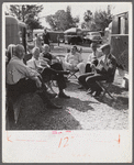 Guests at the Sarasota trailer park. Sarasota, Florida.