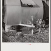 Garden in front of trailer. Sarasota trailer park, Sarasota, Florida.