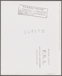 Feeding the puppies. Sarasota trailer park, Sarasota, Florida.