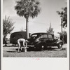 Guest at Sarasota trailer park, Sarasota, Florida, washing his car.