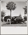Guest at Sarasota trailer park, Sarasota, Florida, washing his car.