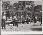 Playing shuffleboard. Sarasota trailer park, Sarasota, Florida.