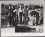 Guests of Sarasota trailer park, Sarasota, Florida, with fish they had just caught.