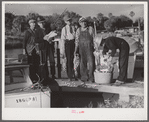 Guests of Sarasota trailer park, Sarasota, Florida, with fish they had just caught.