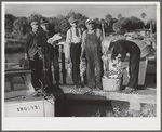 Guests of Sarasota trailer park, Sarasota, Florida, with fish they had just caught.