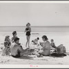 Members of Sarasota trailer park, Sarasota, Florida, picnicking at the beach.