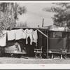 Family wash outside of trailer home. Sarasota trailer park, Sarasota, Florida.