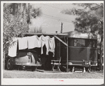 Family wash outside of trailer home. Sarasota trailer park, Sarasota, Florida.