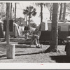 Hanging up the washing, Sarasota trailer park. Sarasota, Florida.