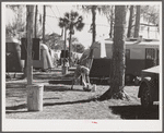 Hanging up the washing, Sarasota trailer park. Sarasota, Florida.