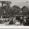 Sarasota trailer park. Sarasota, Florida.