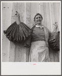 Spanish trapper's wife holding dried muskrat skins iIn front of their camp in the marshes near Delacroix Island, Louisiana.