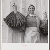 Spanish trapper's wife holding dried muskrat skins iIn front of their camp in the marshes near Delacroix Island, Louisiana.