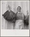 Spanish trapper's wife holding dried muskrat skins iIn front of their camp in the marshes near Delacroix Island, Louisiana.