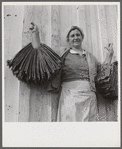 Spanish trapper's wife holding dried muskrat skins iIn front of their camp in the marshes near Delacroix Island, Louisiana.