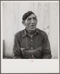 Spanish muskrat trapper telling about the trapper's war, the long fight and difficulties between them and the company men. Delacroix Island, Saint Bernard Parish, Louisiana.