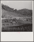 Farmland with erosion on hillside. Breathitt County, Kentucky.