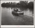 Three FSA (Farm Security Administration) supervisors going out the bayous and marshes to some of the muskrat trappers at their camps. Near Delacroix Island, Louisiana.