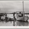 Spanish muskrat trapper standing beside his boat used to go out of the camp in the marshes and for fishing in other seasons. Delacroix Island, Louisiana. See general caption number one.