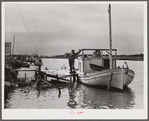 Spanish muskrat trapper standing beside his boat used to go out of the camp in the marshes and for fishing in other seasons. Delacroix Island, Louisiana. See general caption number one.