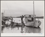 Spanish muskrat trapper standing beside his boat used to go out of the camp in the marshes and for fishing in other seasons. Delacroix Island, Louisiana. See general caption number one.