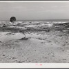 Sand dunes along gulf off highway near Pensacola, Florida.