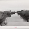 Spanish muskrat trapper's camp with home built piroques (canoes) on the bayou in the marshes near Delacroix Island, Louisiana.