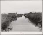 Spanish muskrat trapper's camp with home built piroques (canoes) on the bayou in the marshes near Delacroix Island, Louisiana.