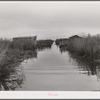 Spanish muskrat trapper's camp with home built piroques (canoes) on the bayou in the marshes near Delacroix Island, Louisiana.